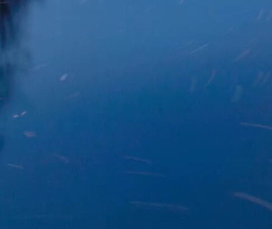 电商设计和平面设计有什么区别