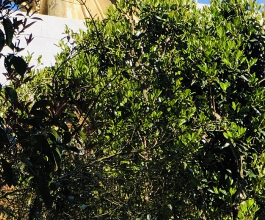 京东手机节：便宜实惠还是618更优惠？