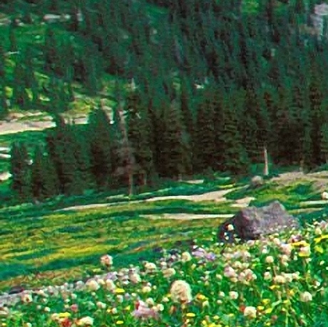 第二魔仙：踏入魔仙界的奇幻旅程