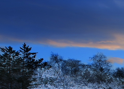 世界上举办过世界杯的国家