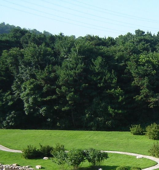 莲池科技学院