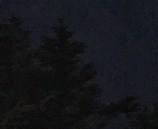 画画沉淀心灵