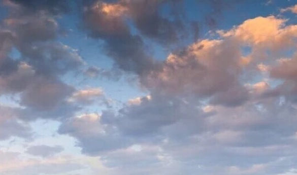 小孩唱哥,老哥看恐龙