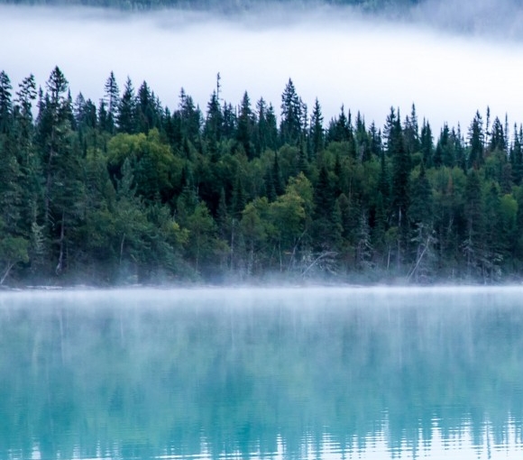 欢迎关注科技局公众号