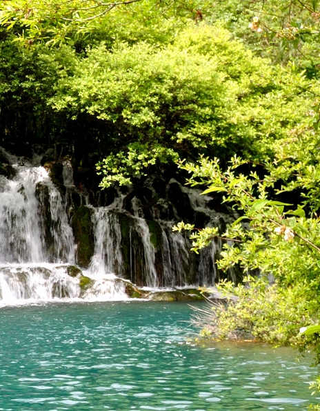 瑜伽腰腹核心体式编排