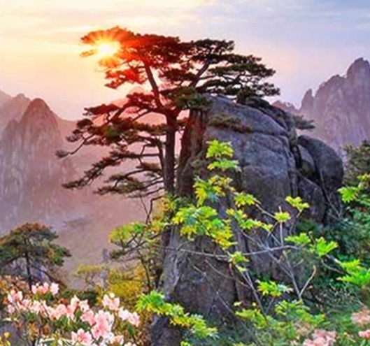 珠海游艇俱乐部