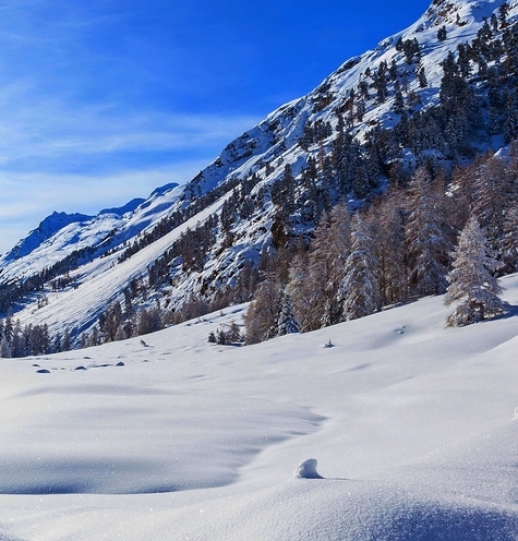 中国最好吃的雪糕十大排名