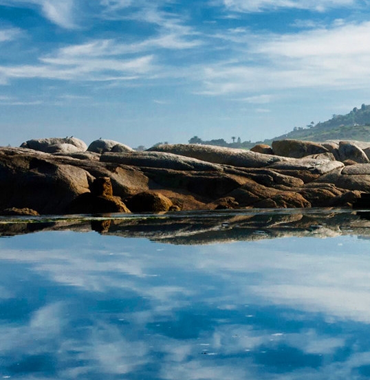 未来科技产业趋向