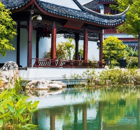 创意花瓶图片