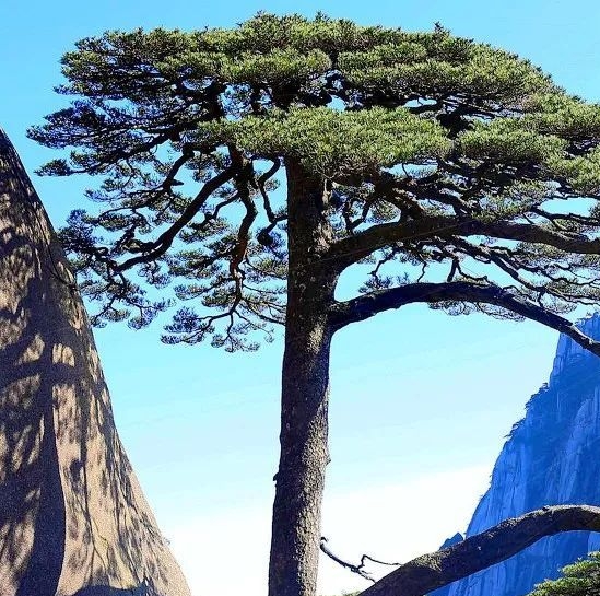 全世界最贵的商场