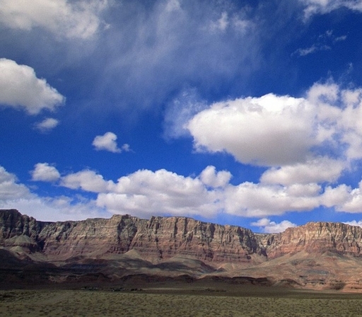 小世界小说免费阅读