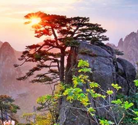 元旦教师节目创意
