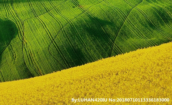 2023年对联大全 春节