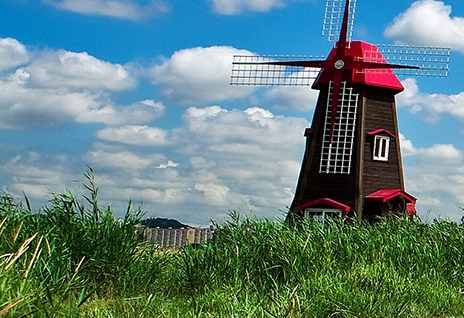 单单单和单单双