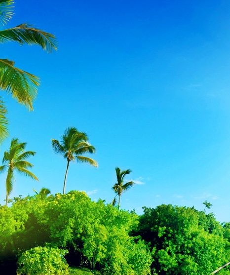 科技文章怎么写