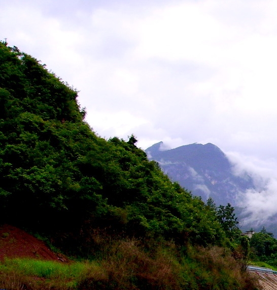 儿童创意美术画图片