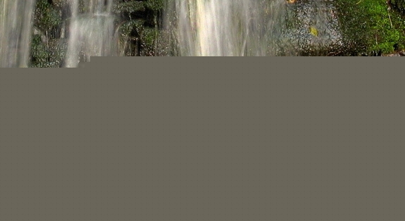 iphone6官网维修价格