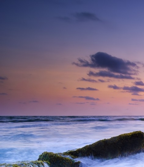 身体是心灵的宫殿