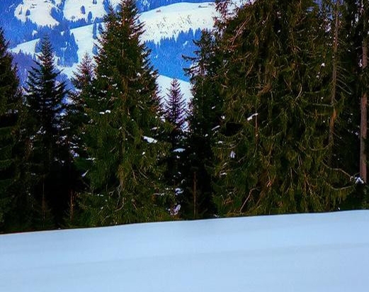 海底世界教学设计一等奖