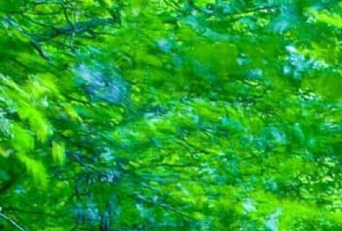 蛇伤科技与伤克网络科技合并，共创新时代科技风潮