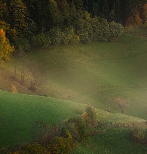 杂谈主播怎么交流