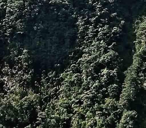 流程构图法图片电商