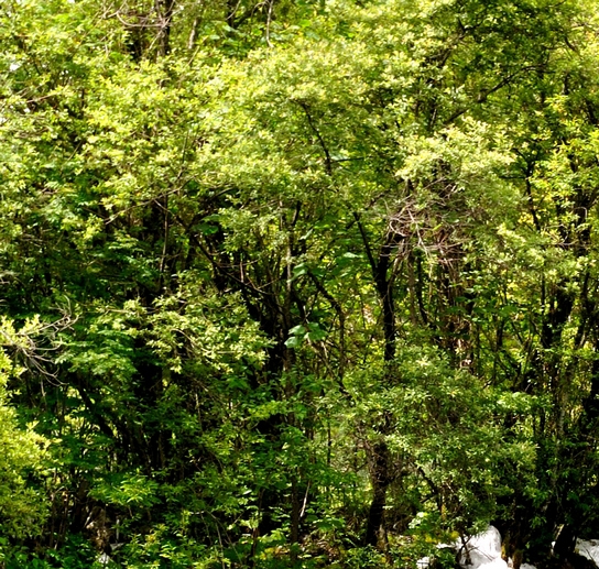 鸿达科技股份有限公司