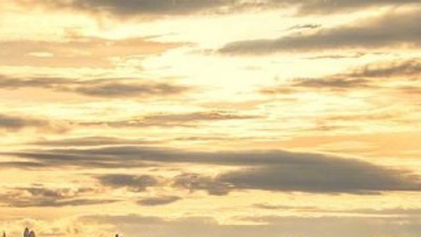 猪猪世界下载安装