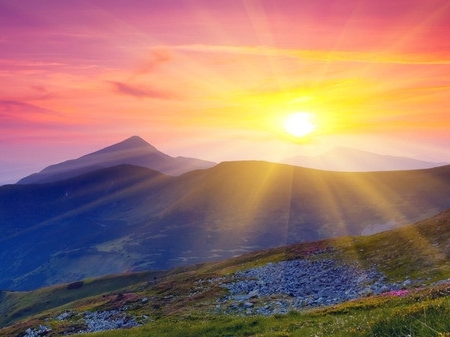 僵尸前线所有boss