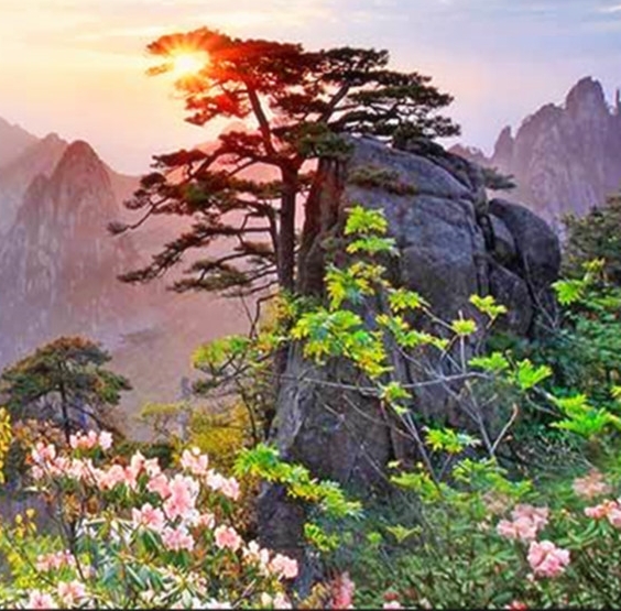 成都与国外的创意精神堡垒对比