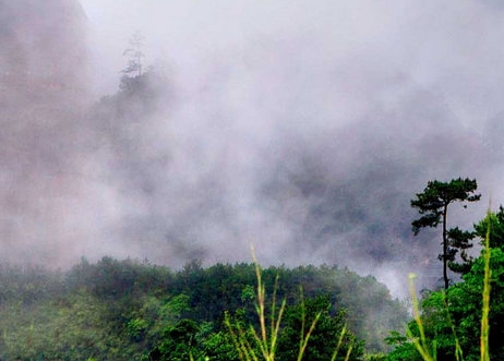 世界黄赌毒基地：没有黄赌毒的世界可能存在吗？