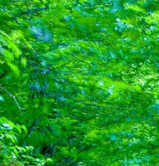 梅兰芳大剧院地址