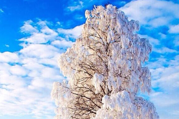 什么叫太空书包
