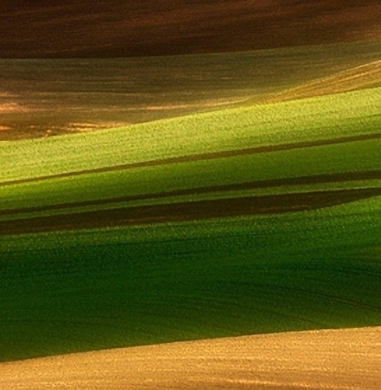 剑侠世界手游3官网下载