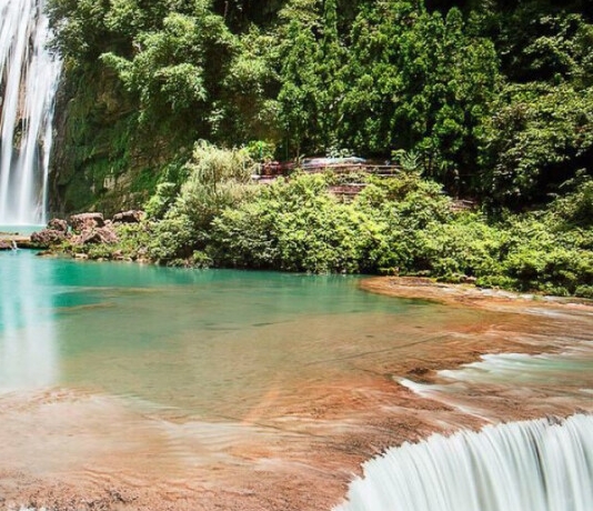 车展门票怎么买