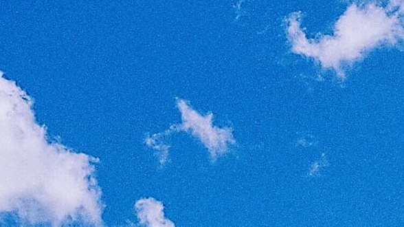 朵朵电商个体，电商一般是公司还是个体？