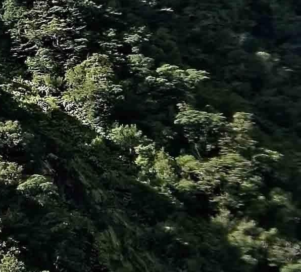 心灵互动直播的互动直播体育直播介绍