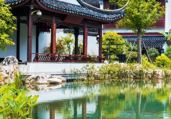 杭州纹美科技