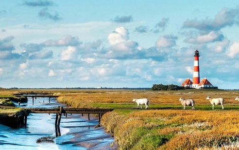 互动直播体育直播