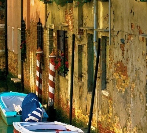 晓月圆舞曲怪物图鉴