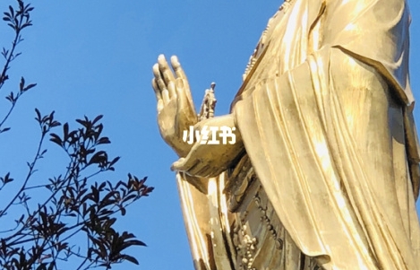 滨湖电商公寓