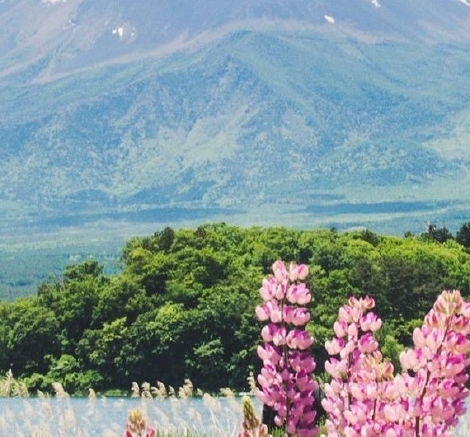 咖啡创意广告文案