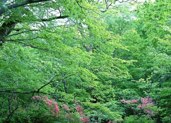 方块世界基地：探索未知之地