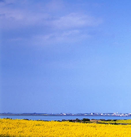 uiq与uiq详解