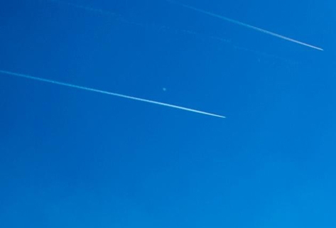 探索宇宙之旅：宙星世界 奇妙动物王国：动物星世界