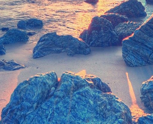 上海到厦门