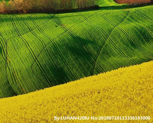 迷你世界字母怎么写