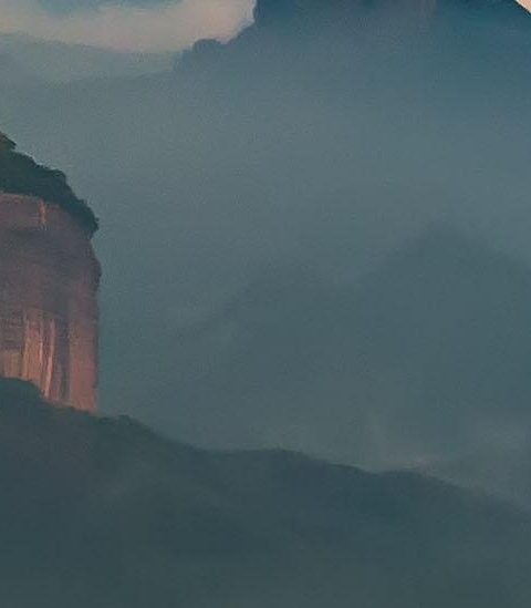 从树苗到世界树：修复生命的奇幻旅程