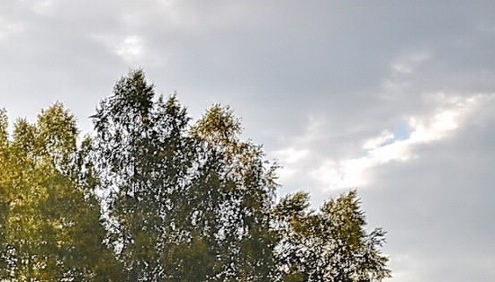 管理中的管人和管事