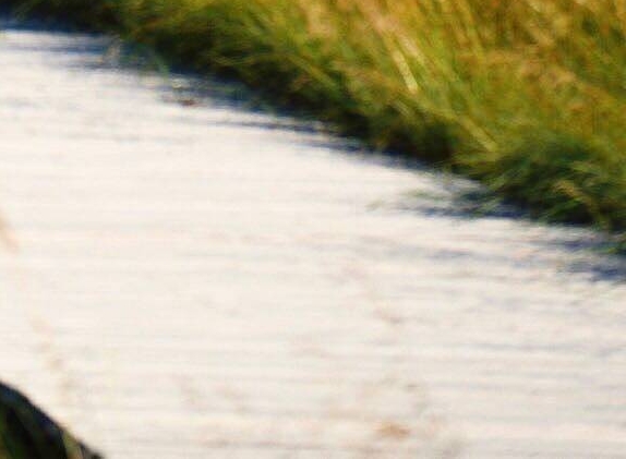 浙江临安农家乐包吃住